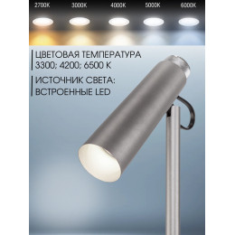 Торшер Eurosvet 80430/1